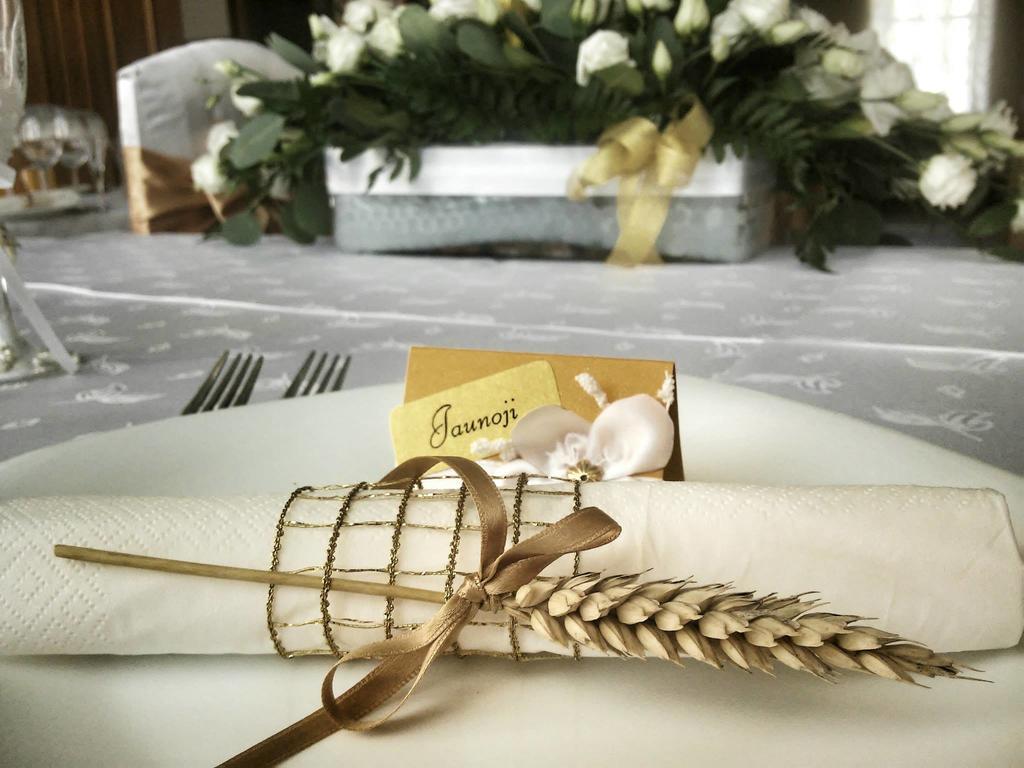 Hotel Plinksiu Plinkses Экстерьер фото
